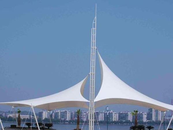 長春膜結構形狀的多樣性